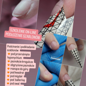 img20251202190429594-1a21ca8210205110728