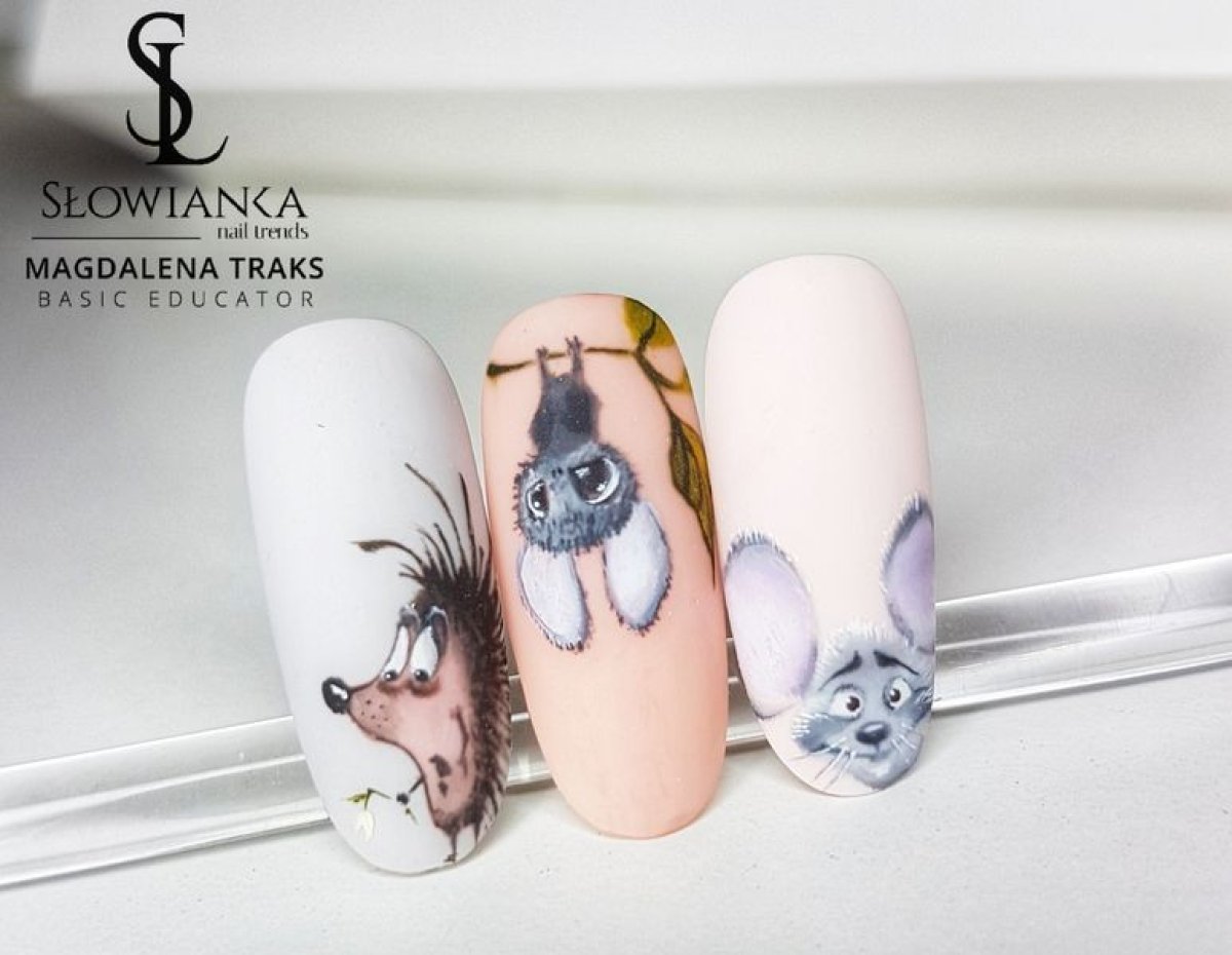 20190111_181823-01_6bc5eed2_1212_113830